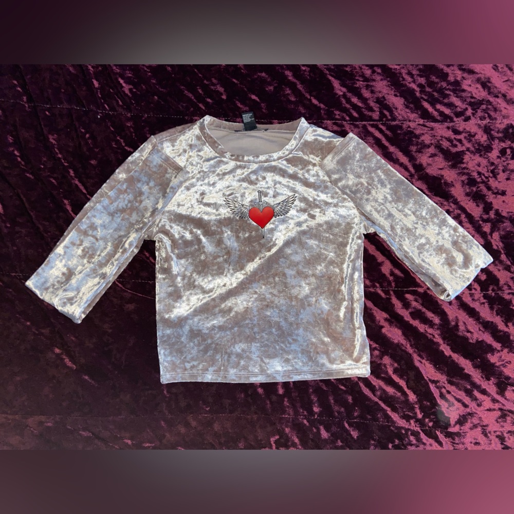 FOREVER 21 Chrome Velvet Long Sleeve Crop Top. S